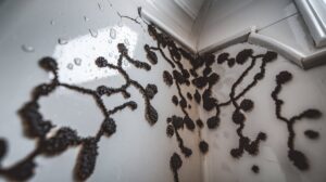 Selling a House With Mold
